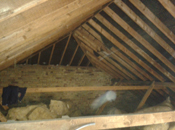 Project Gallery Image