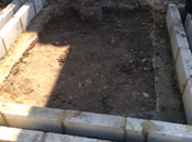 Project Gallery Image